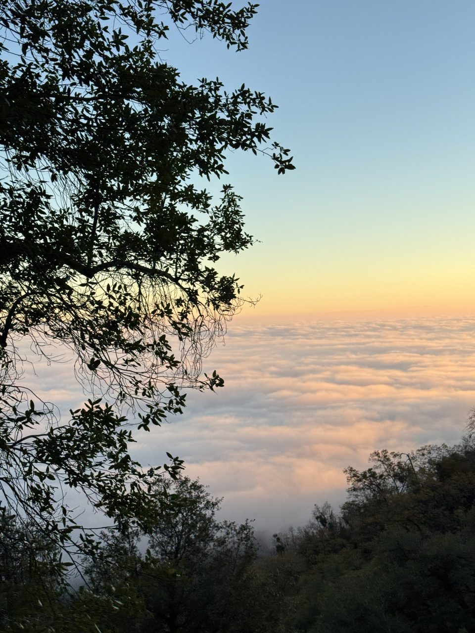 A sea of clouds below the mountain property — open sky and fresh mountain air