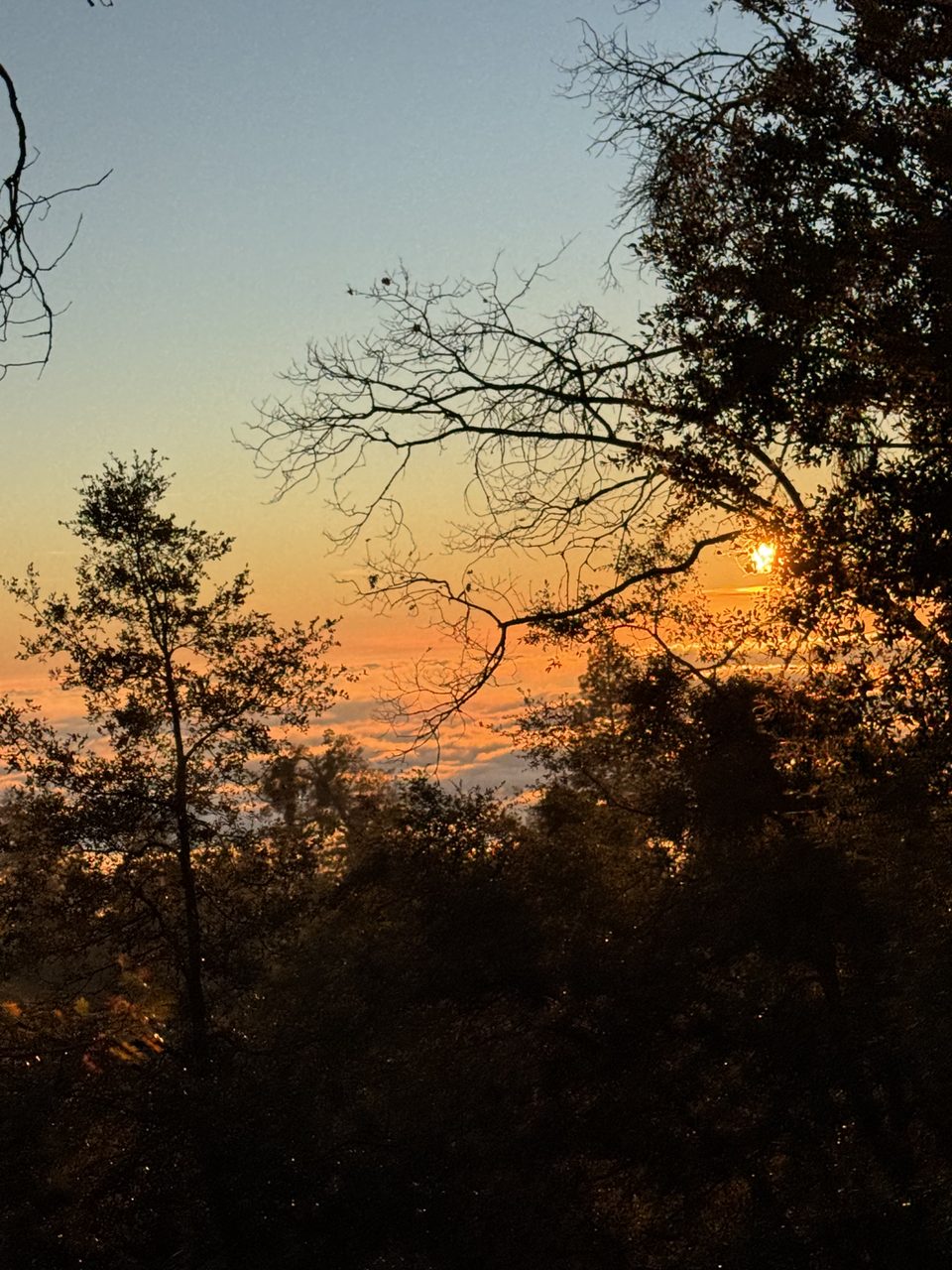 Sunset from the ridge of the property